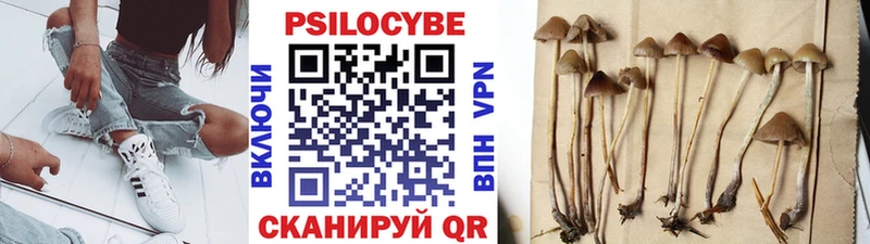 Купить где  Усолье  Псилоцибиновые грибы ЛСД 